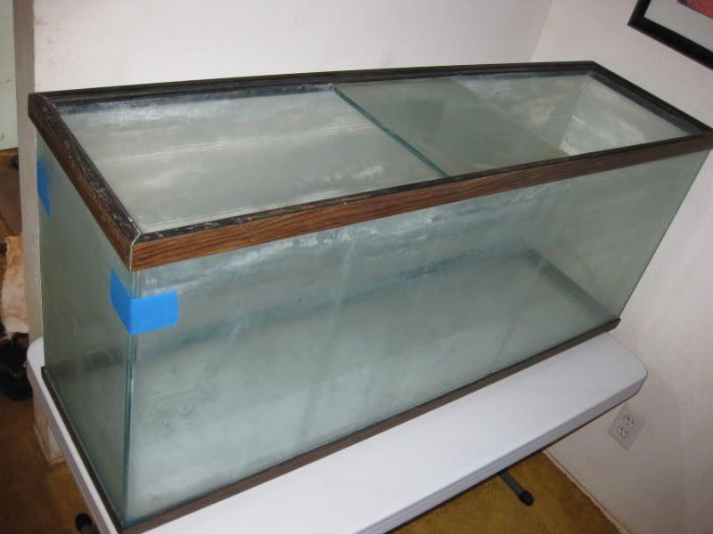 2-16-09001.jpg