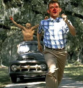 forrest.jpg