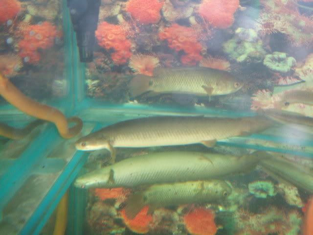 DSCF2404.jpg