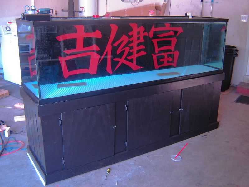 DSC06015.jpg