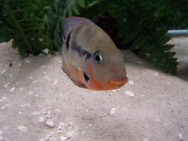 100_5055Medium.jpg