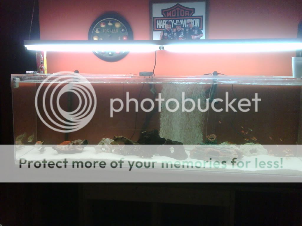 IMG00067-20090208-1555.jpg