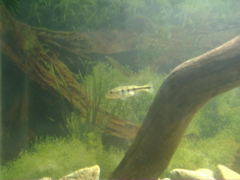 DSCF9312.jpg