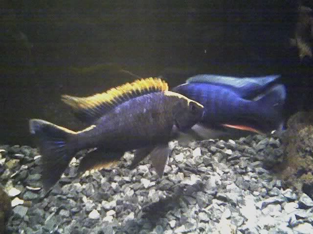 01-21-07_2029.jpg