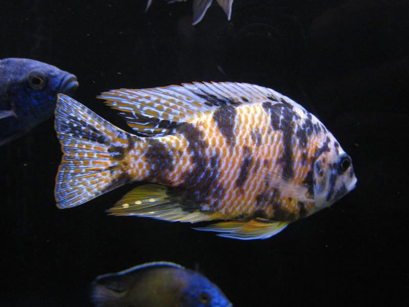 IMG_6665.jpg