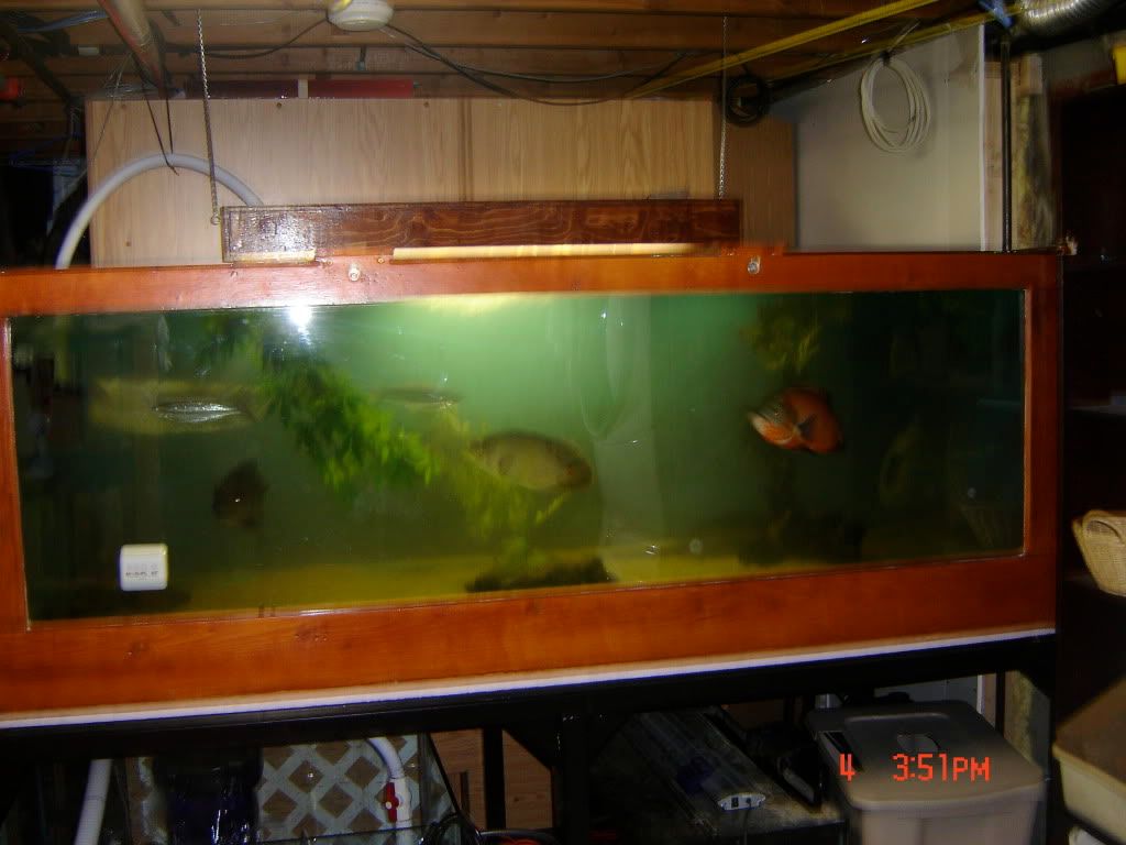 DSC04205.jpg