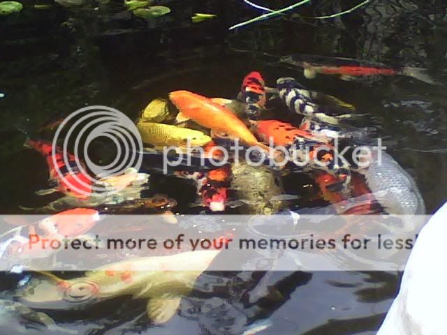 0330081436a.jpg