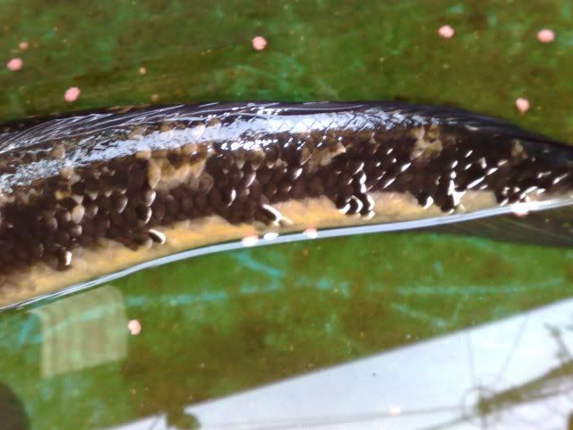 13102009674.jpg