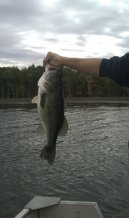 10-23big.jpg