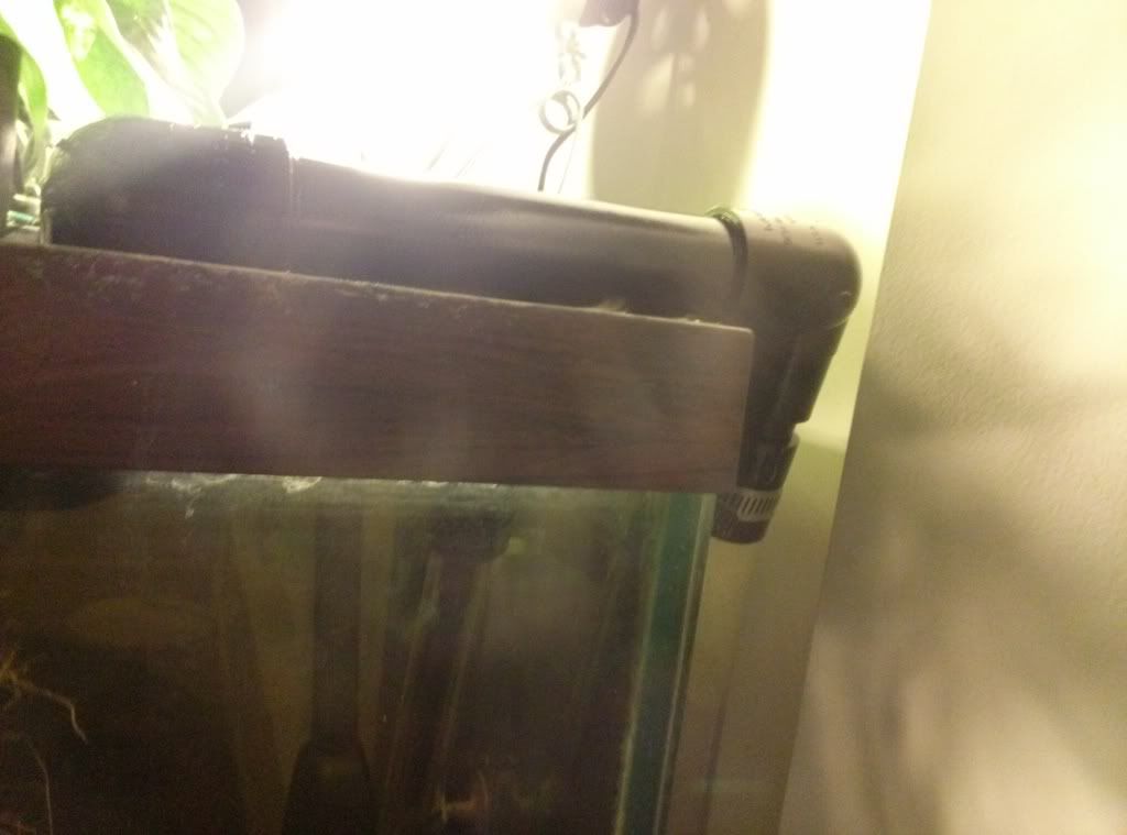 CAM00243_zpscea438da.jpg