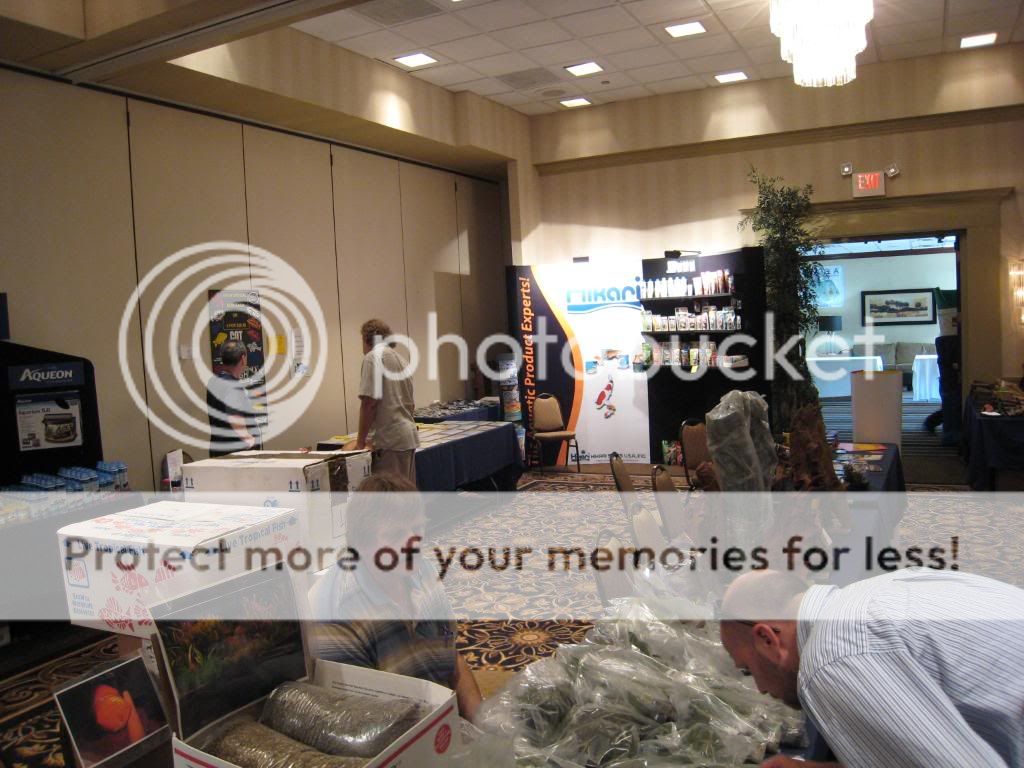 IMG_9266.jpg