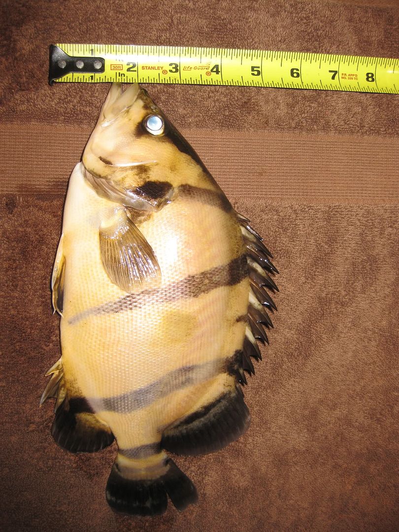 5-6-10009.jpg