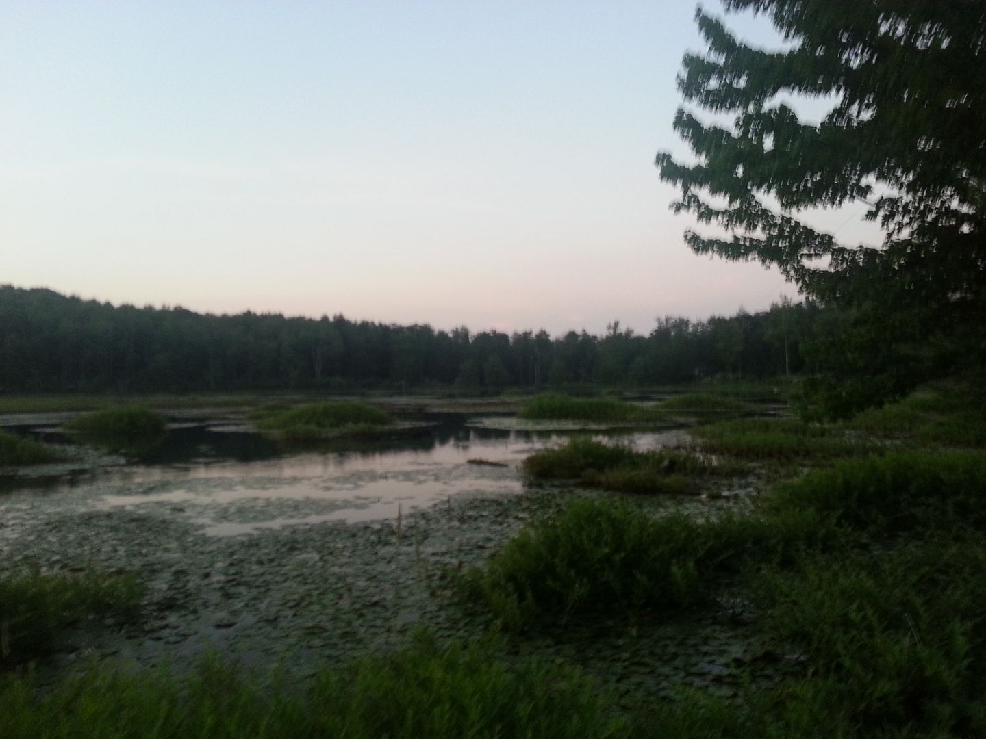 20130706_204527_zpsef966cf6.jpg