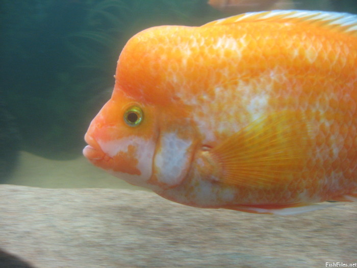 cn2axebj_009.JPG