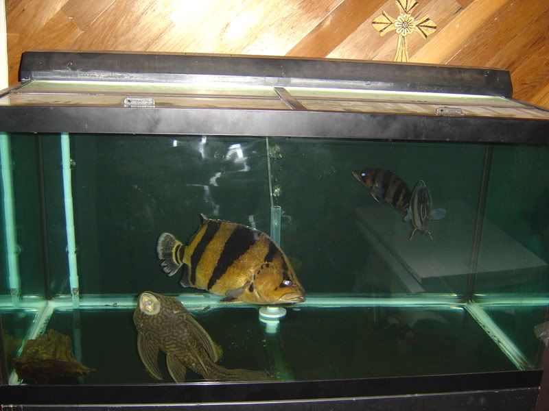 11-2-08029.jpg