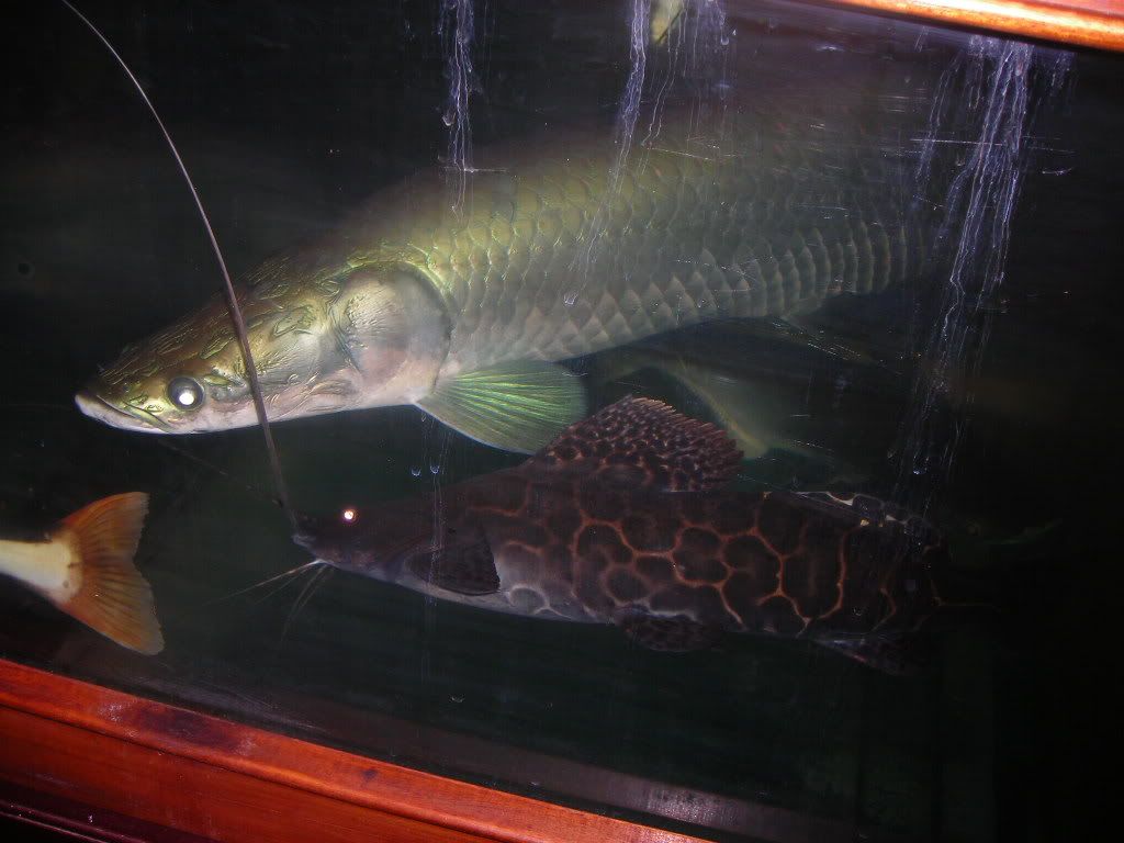 DSCN2252.jpg