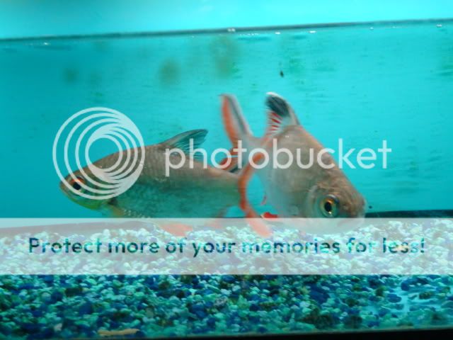 DSC05749.jpg