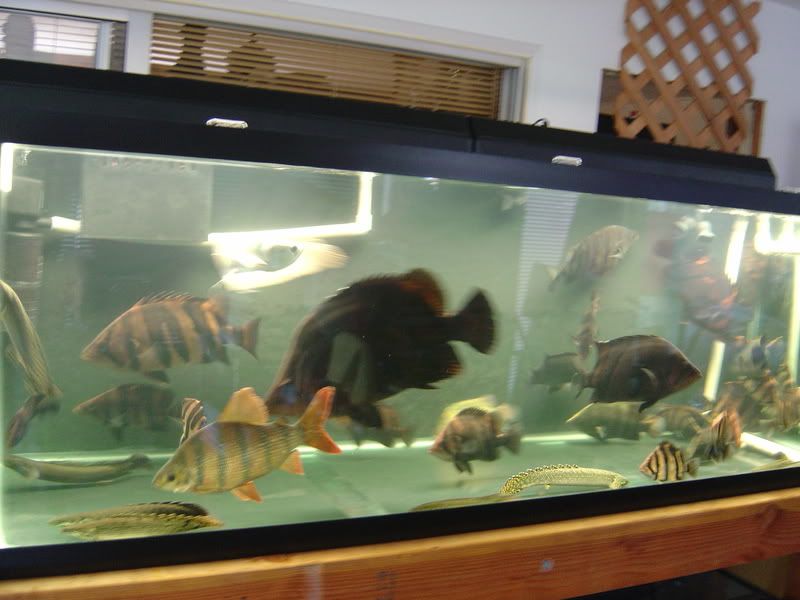 7-3-08016.jpg