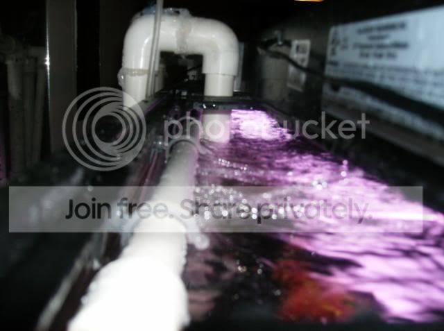 HPIM0577.jpg