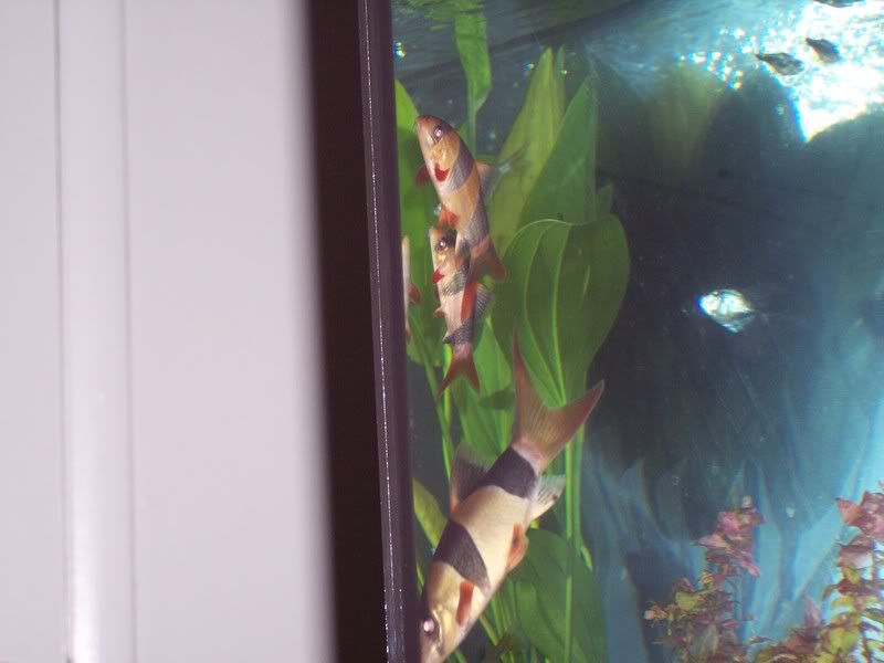 100_1488.jpg