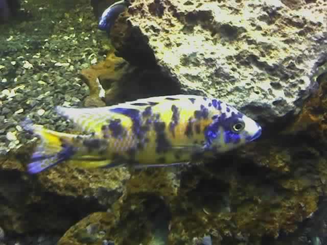 02-19-07_2044.jpg