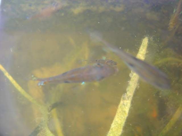DSC07603.jpg