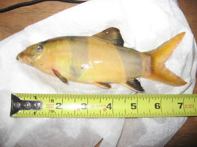 Picture046.jpg