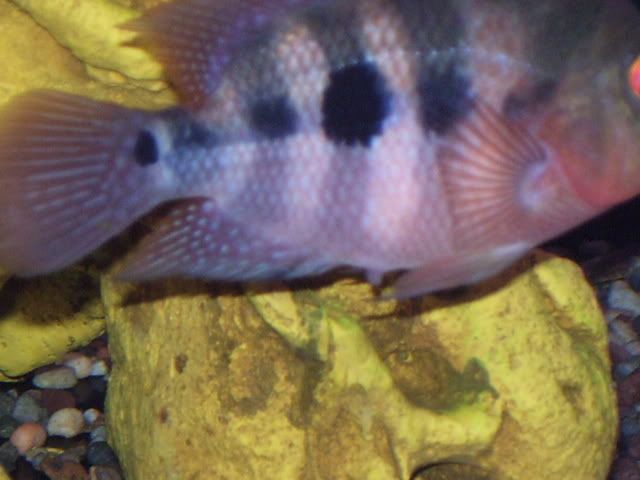 100_0578.jpg