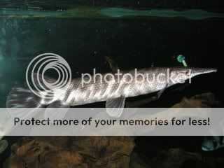 DSCN7715.jpg
