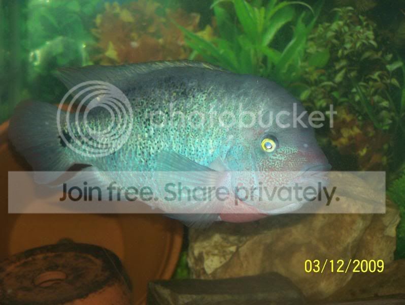 100_2811.jpg