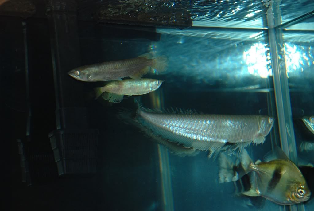 DSC_0012.jpg