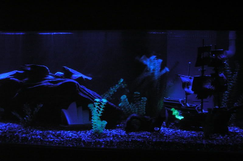 P2090042.jpg
