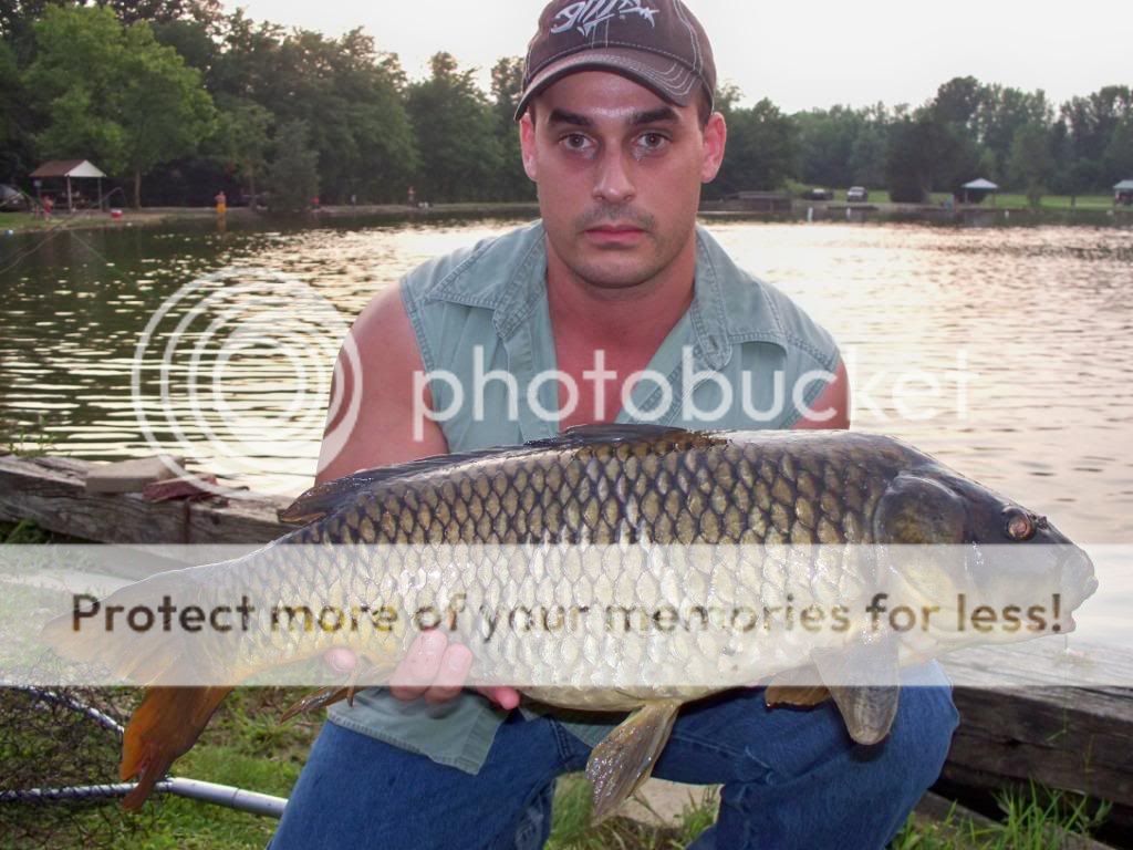 carp001.jpg