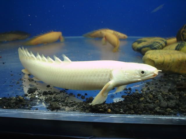 DSC08656.jpg