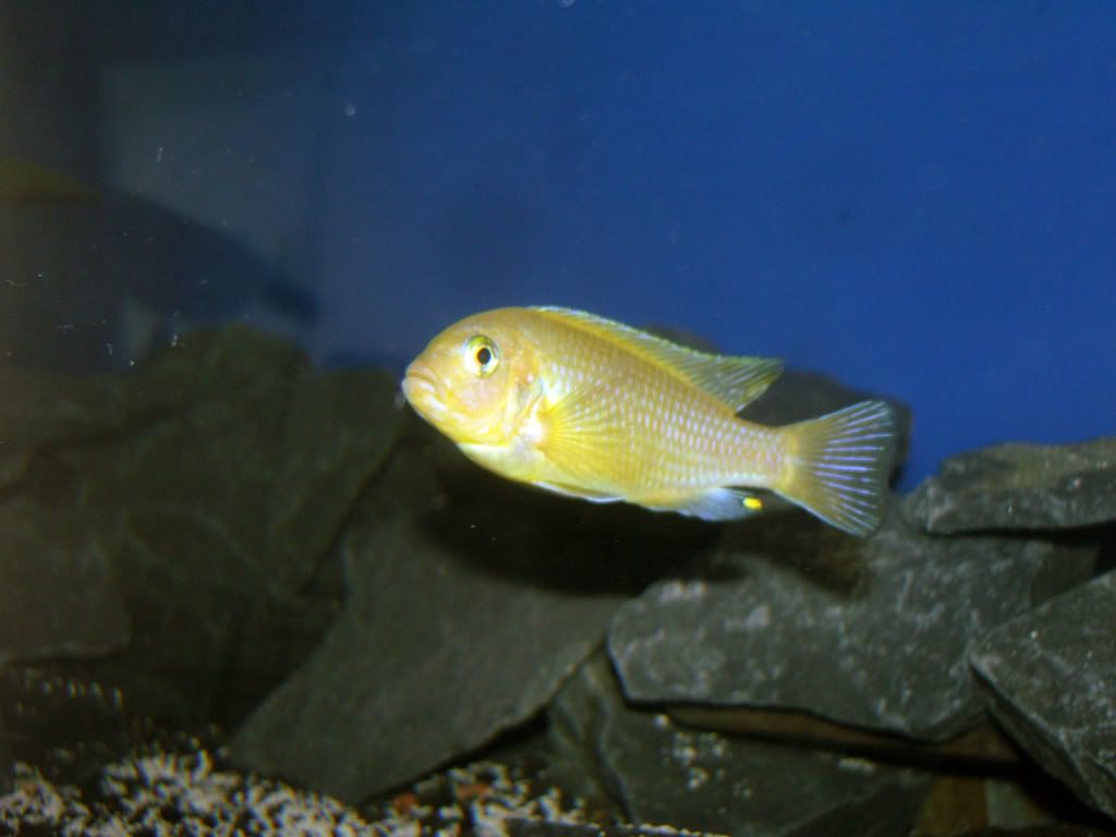 SNC12517.jpg