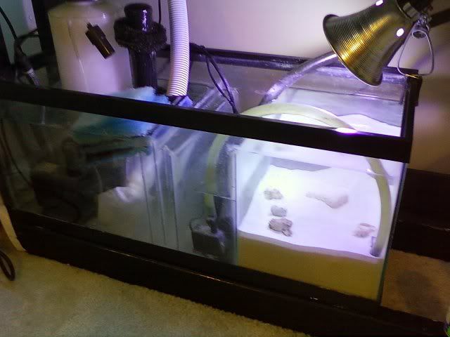 sump.jpg