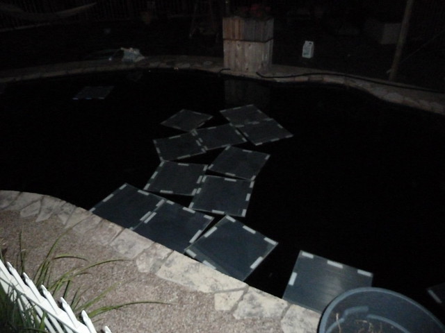 8137347120_377b027226_z.jpg