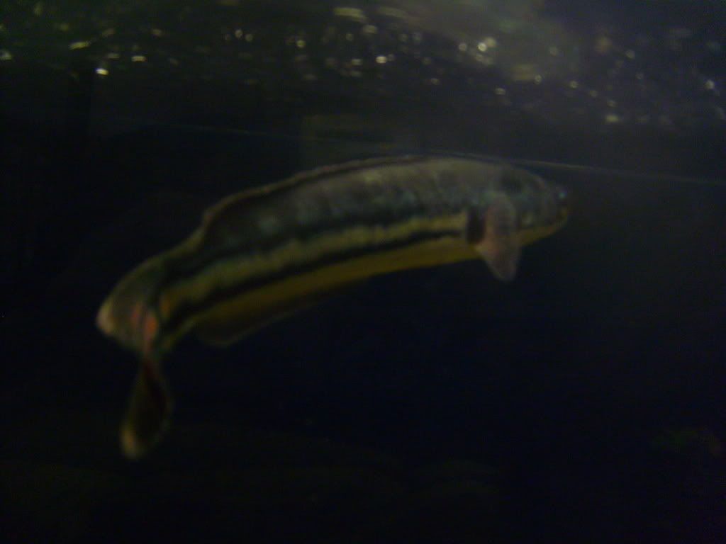 Picture009.jpg