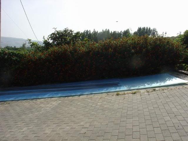 DSC02410.jpg