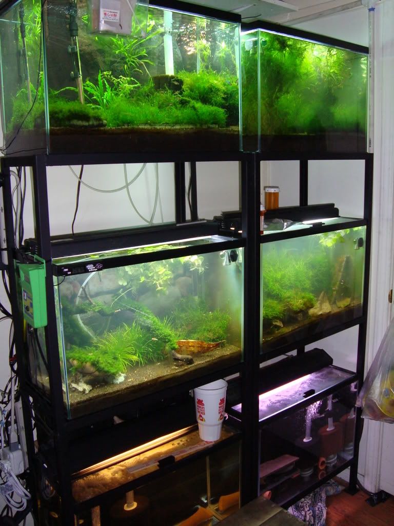 DSC00431.jpg