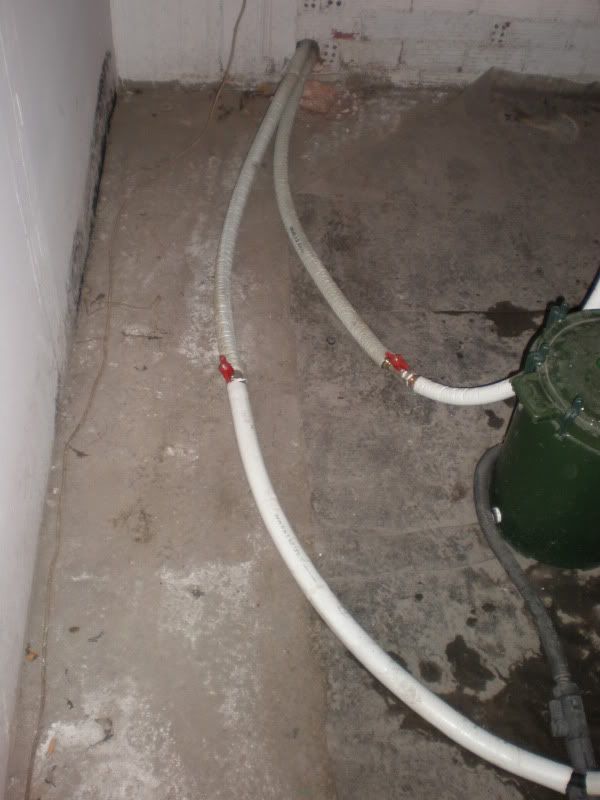 PA290004.jpg