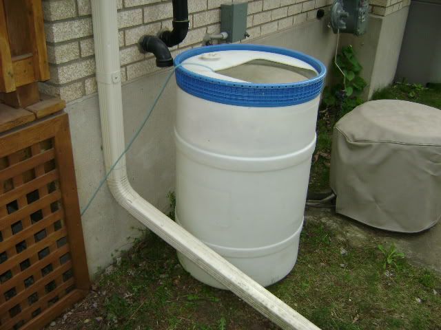 tank003.jpg