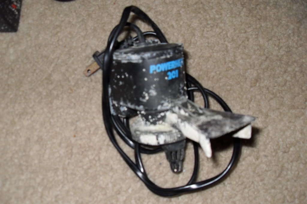 SDC10077.jpg