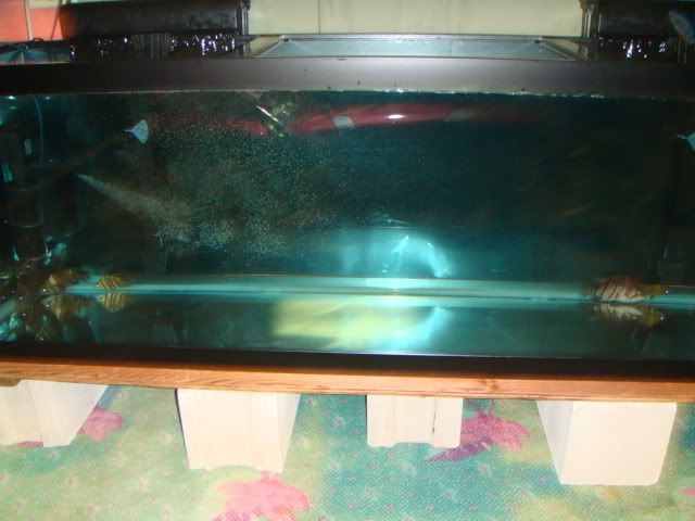DSC01048.jpg