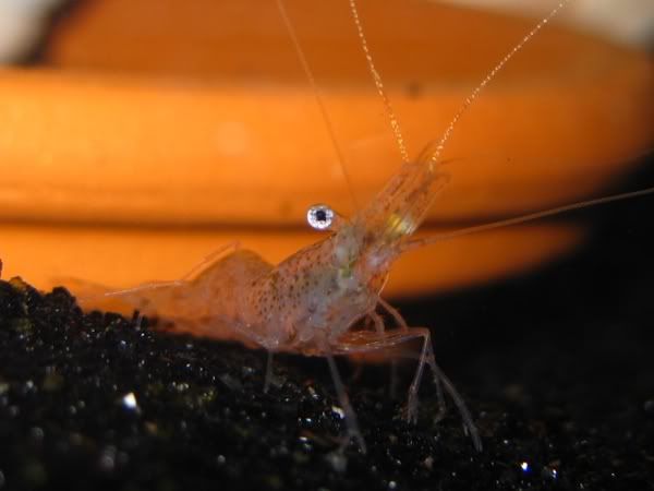 IMG_3820.jpg