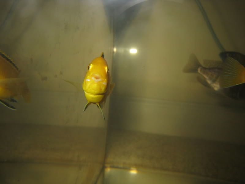 IMG_2868.jpg