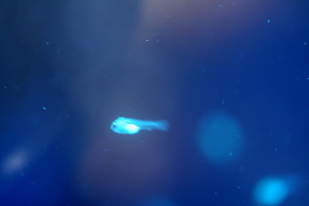 18b32202.jpg