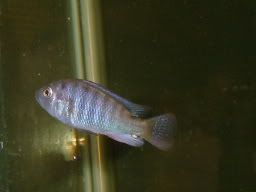 S7300077.jpg