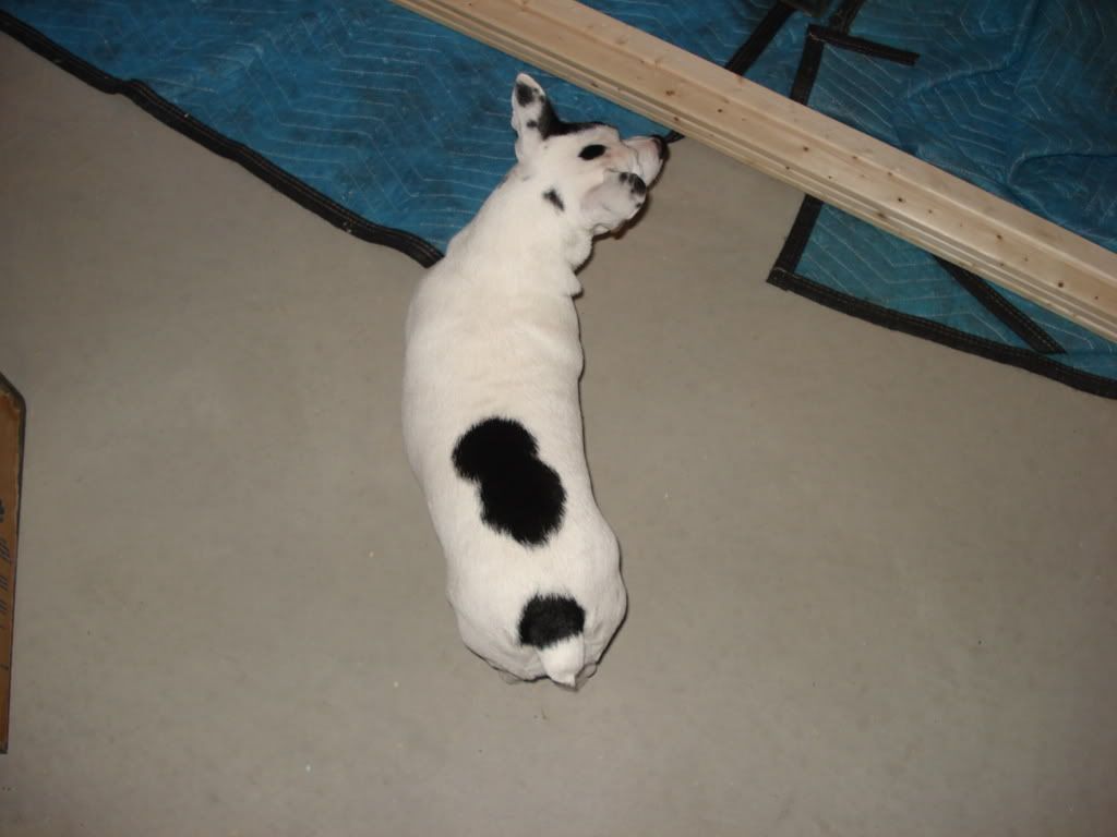DSC01947.jpg