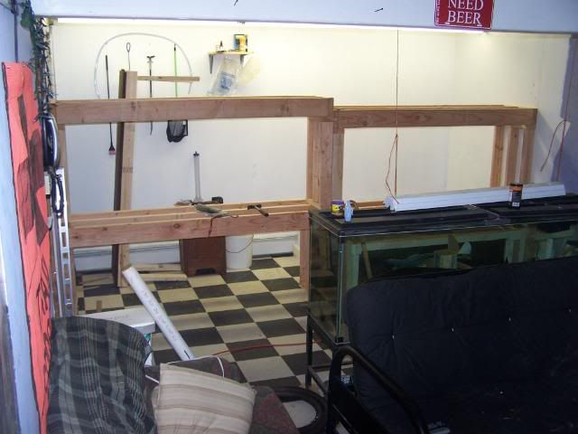 fishwall010.jpg